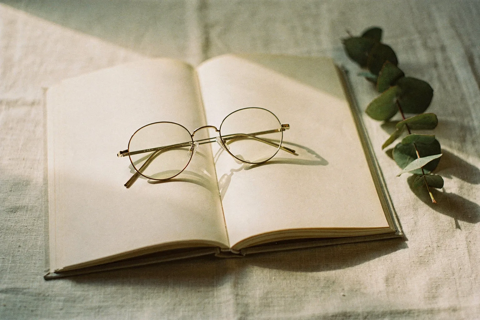 An open book with round reading glasses resting on blank pages and a eucalyptus sprig beside it, in soft daylight