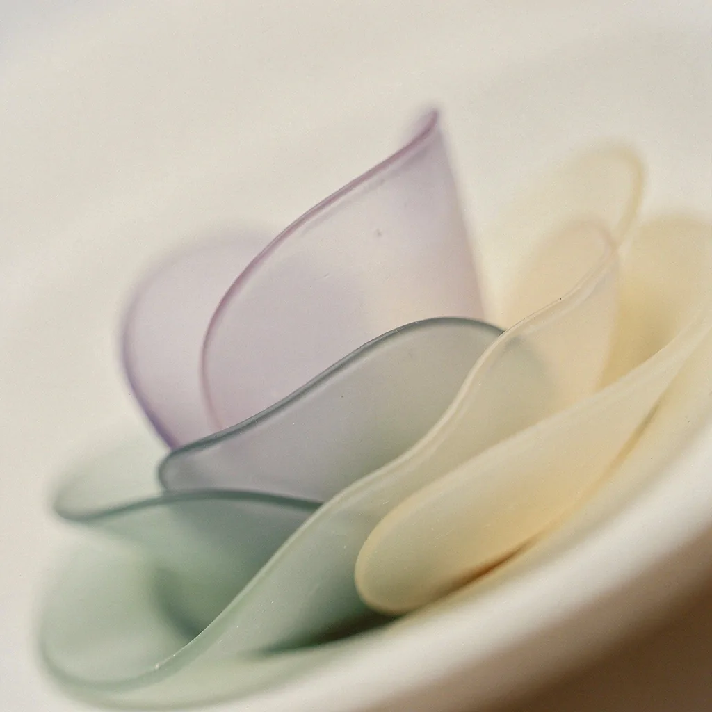 A translucent organic macro texture, softly lit